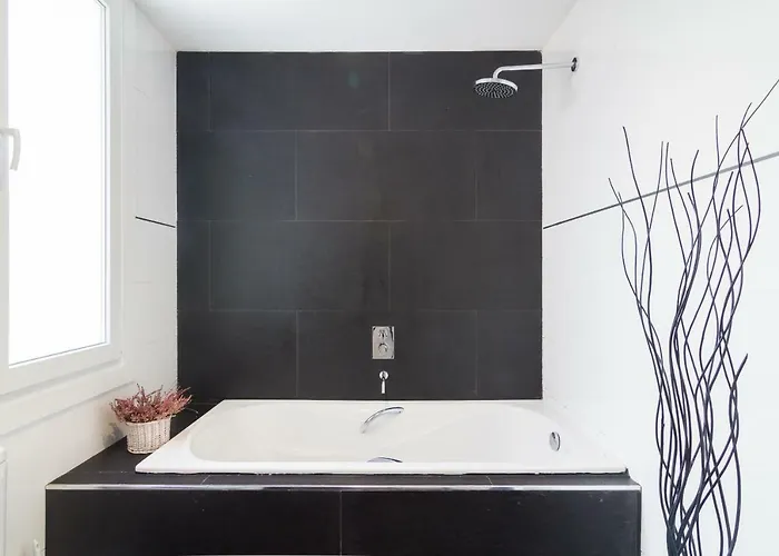 Iruzul San Sebastian